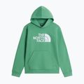 Dětská mikina The Noryh Face Essential Drew Peak Hoodie dimmed algae