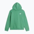 Dětská mikina The Noryh Face Essential Drew Peak Hoodie dimmed algae 2