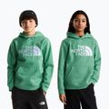 Dětská mikina The Noryh Face Essential Drew Peak Hoodie dimmed algae 3