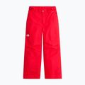 Dětské lyžařské kalhoty The North Face Freedom Insulated elevation red 4