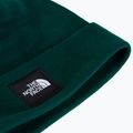 Zimní čepice The North Face Dock Worker Recycled Beanie hunter green 2