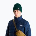 Zimní čepice The North Face Dock Worker Recycled Beanie hunter green 3