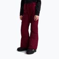 Dětské lyžařské kalhoty The North Face Freedom Insulated burgundy crush