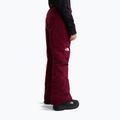 Dětské lyžařské kalhoty The North Face Freedom Insulated burgundy crush 3
