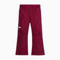 Dětské lyžařské kalhoty The North Face Freedom Insulated burgundy crush 4