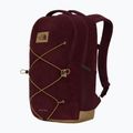 Městský batoh The North Face Jester Pro 28 l deep burgundy/leather bro 2