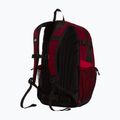 Městský batoh The North Face Hot Shot Se 30 l burgundy crush/lali gur 3
