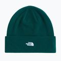 Zimní čepice The North Face Norm Beanie hunter green