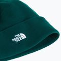 Zimní čepice The North Face Norm Beanie hunter green 2