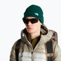 Zimní čepice The North Face Norm Beanie hunter green 3