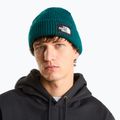 Zimní čepice The North Face Salty Lined pacific teal 3