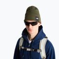 Zimní čepice The North Face Dock Worker Recycled Beanie new taupe green 3