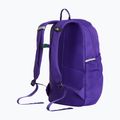 Městský batoh The North Face Court Jester elevation purple 3