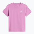 Dětské tričko The North Face Evolution Simple Dome SS Tee hushed lavender 4