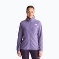 Pánská fleecová mikina The North Face Glacier Fleece grounded plum