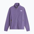 Pánská fleecová mikina The North Face Glacier Fleece grounded plum 5