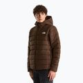 Pánská zateplená bunda The North Face Aconcalgia Hooded dark chestnut 4