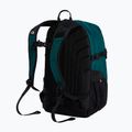 Městský batoh The North Face Borealis Classic pacific teal/restorative 3