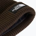 Zimní čepice The North Face Salty Lined dark chestnut 2