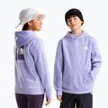Dětská mikina The North Face Evolution Box NSE Pullover Hoodies pale plum