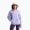 Dětská mikina The North Face Evolution Box NSE Pullover Hoodies pale plum 2