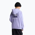Dětská mikina The North Face Evolution Box NSE Pullover Hoodies pale plum 5