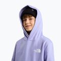 Dětská mikina The North Face Evolution Box NSE Pullover Hoodies pale plum 6