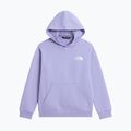 Dětská mikina The North Face Evolution Box NSE Pullover Hoodies pale plum 7