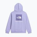 Dětská mikina The North Face Evolution Box NSE Pullover Hoodies pale plum 8