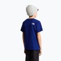Dětské tričko The North Face Evolution Half Dome SS Tee bold blue 5