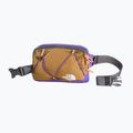 Ledvinka The North Face Terra Lumbar 1 l utility brown/peak purple