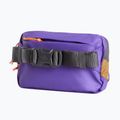Ledvinka The North Face Terra Lumbar 1 l utility brown/peak purple 3