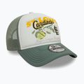 Kšiltovka  New Era Fruit Graphics Trucker ST. Louis Cardinals green pastel