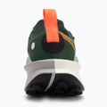 Pánské běžecké boty Nike Zegama 2 fir/desert ochre/college grey/sail 6