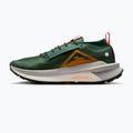 Pánské běžecké boty Nike Zegama 2 fir/desert ochre/college grey/sail 2