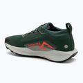 Pánské běžecké boty Nike Pegasus Trail 5 GORE-TEX fir/bright crimson/clay green 3