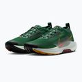 Pánské běžecké boty Nike Pegasus Trail 5 GORE-TEX fir/bright crimson/clay green 5