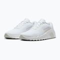 Pánské tréninkové boty Nike Flex Train white/photon dust/white 10