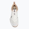 Pánské tréninkové boty Nike Air Max Alpha Trainer 6 sail/baroque brown/hemp/desert dust 5