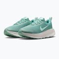 Dámské boty Nike Promina cannon/mint foam/summit white 10