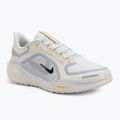 Pánské běžecké boty Nike Pegasus 41 GTX sail/football grey/sundial/ashen slate