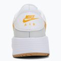 Pánské tenisky Nike Air Max SC white/photon dust/gold leaf 6