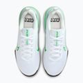 Pánské tréninkové boty Nike Air Max Alpha Trainer 6 white/glacier blue/green strike 5
