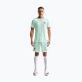 Pánské fotbalové tričko Nike FFF 2026/27 Match Away igloo/monarch/monarch 2