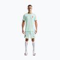 Pánské fotbalové šortky Nike FFF 2026 Match Away Aero-FIT igloo/monarch/monarch 2