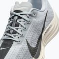 Pánské běžecké boty Nike Pegasus Plus pure platinum/wolf grey/sail/anthracite 9