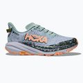 Dámské běžecké boty HOKA Speedgoat 6 GTX jade/ash grey 2