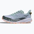 Dámské běžecké boty HOKA Speedgoat 6 GTX jade/ash grey 3