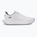 Pánské běžecké boty Under Armour Ascend white/black/distant gray