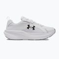 Pánské běžecké boty Under Armour Assert 11 white/black/distant gray